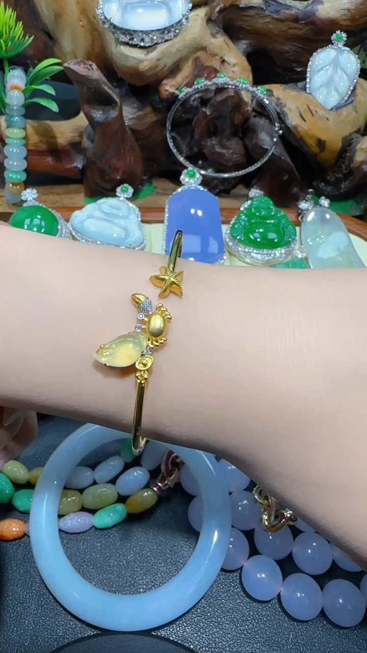 【闪购商品】翡翠手镯18K金镶嵌手镯