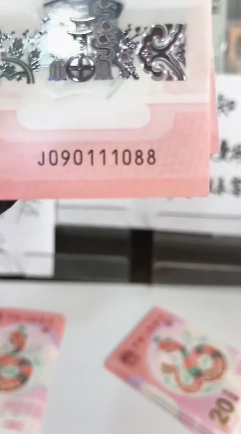 【闪购商品】塑料蛇钞单张号码090111088