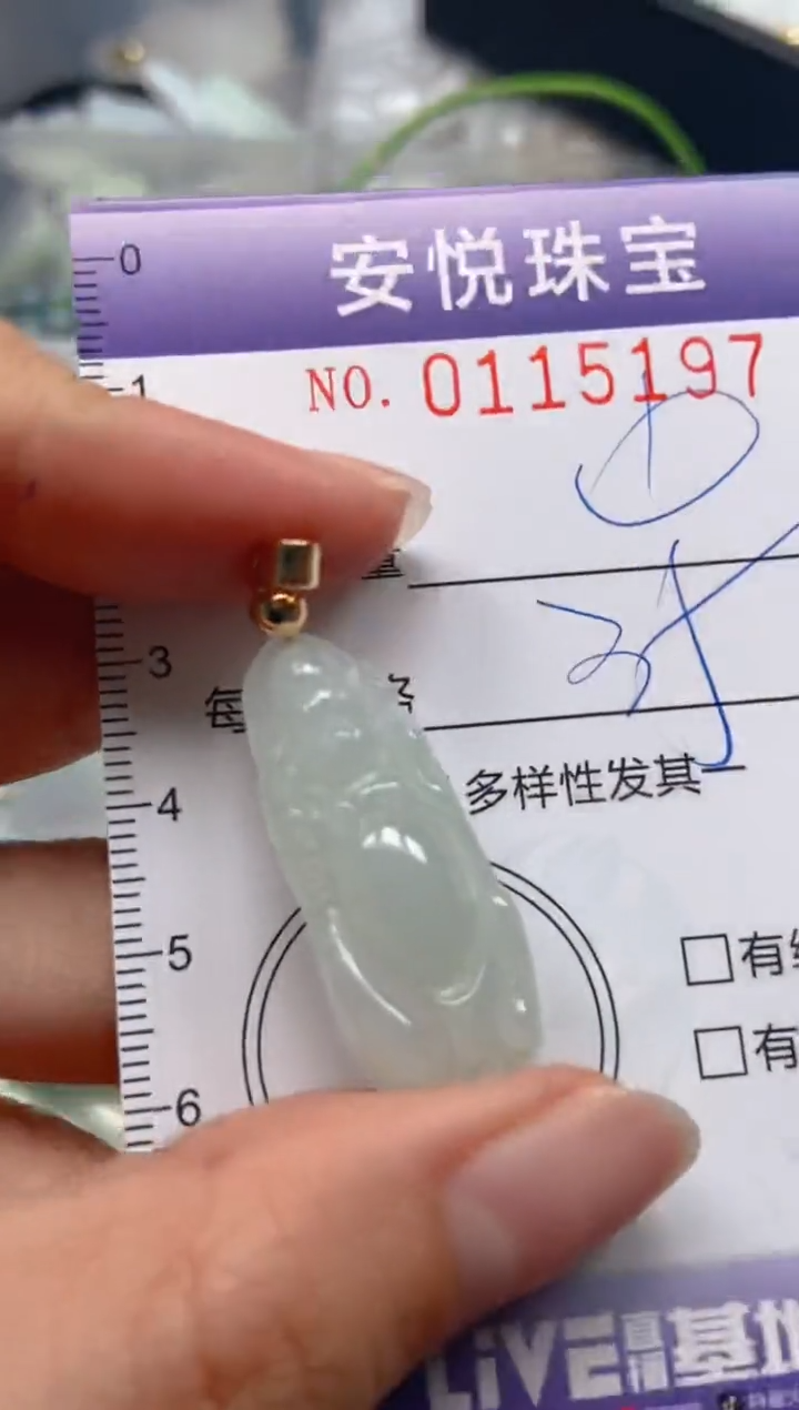 【闪购商品】翡翠颈饰未镶嵌闪购0115197