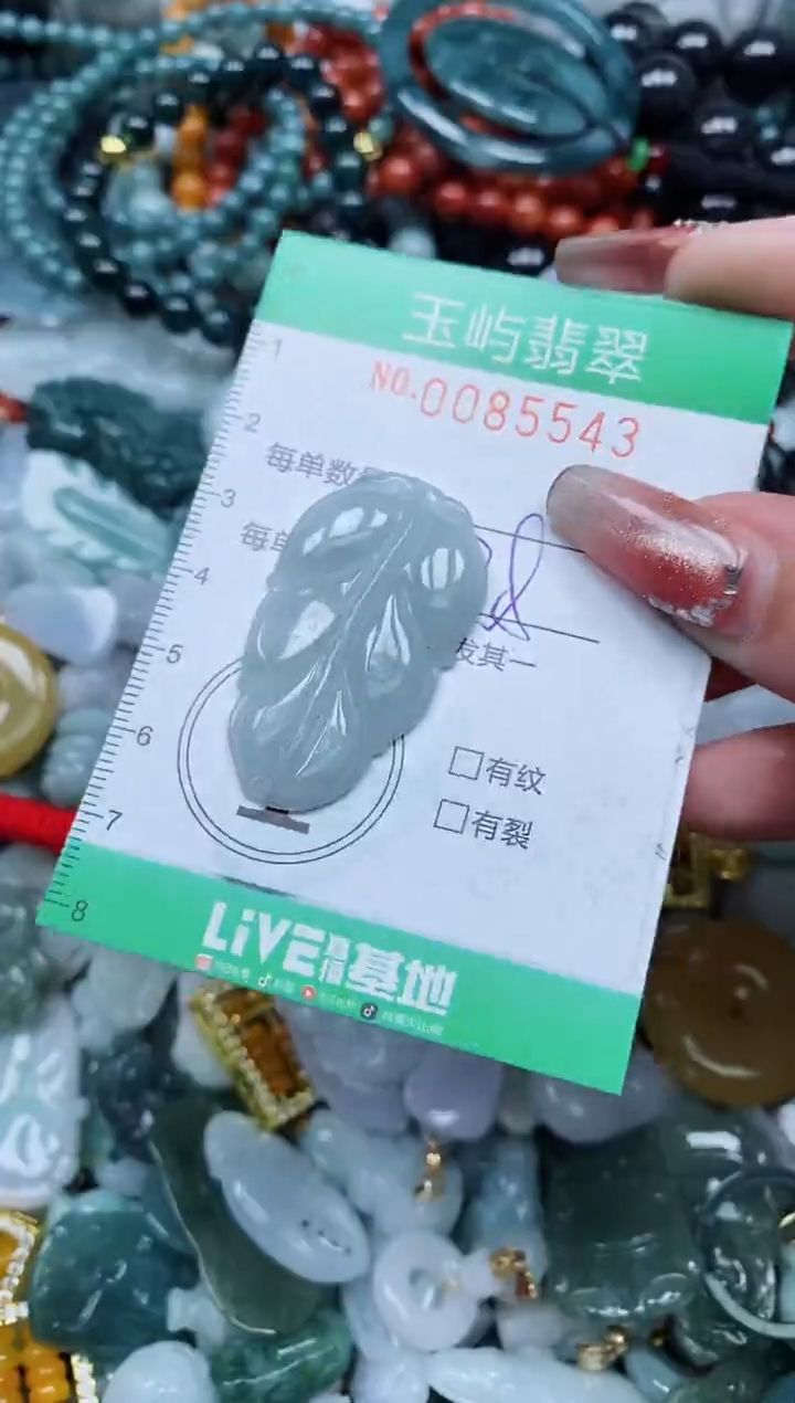 【闪购商品】翡翠颈饰未镶嵌闪购0085543