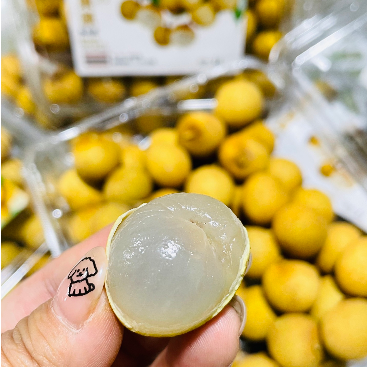 【小核小果鲜桂圆-龙眼】