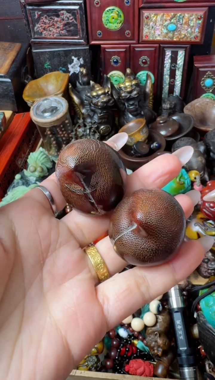 【闪购商品】牛骨其他主播推荐：一物一拍，讲解为准！