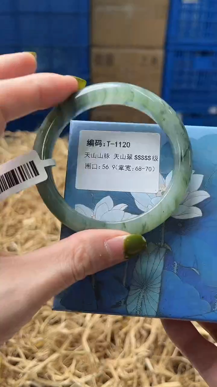 未镶嵌手镯石英质玉T1120