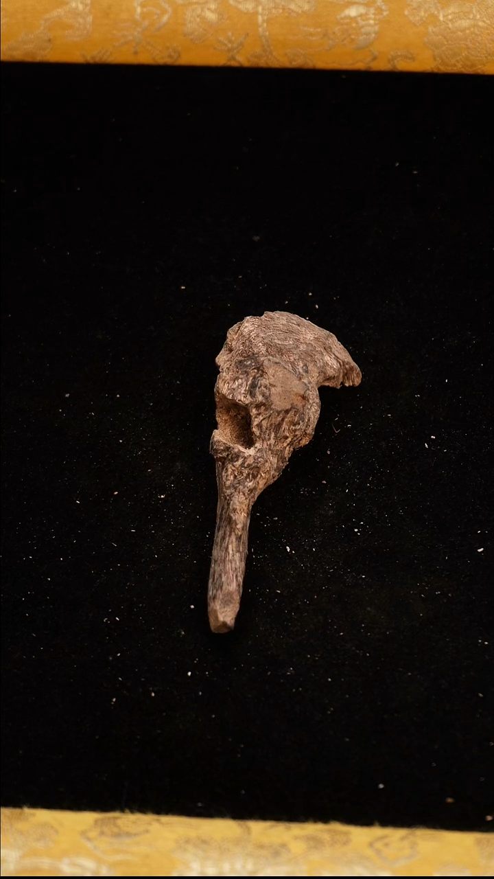 香料越南芽庄香料9.77克