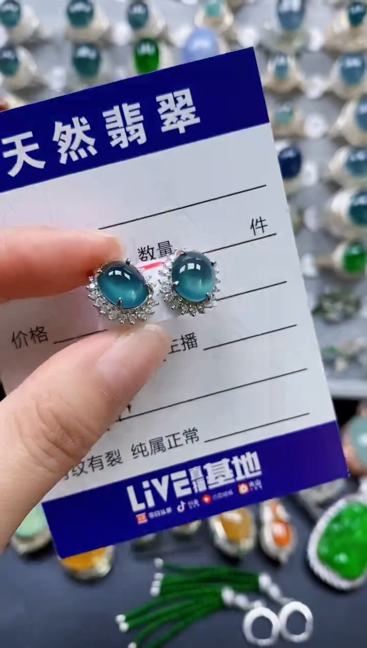 翡翠银S925镶嵌耳饰0130