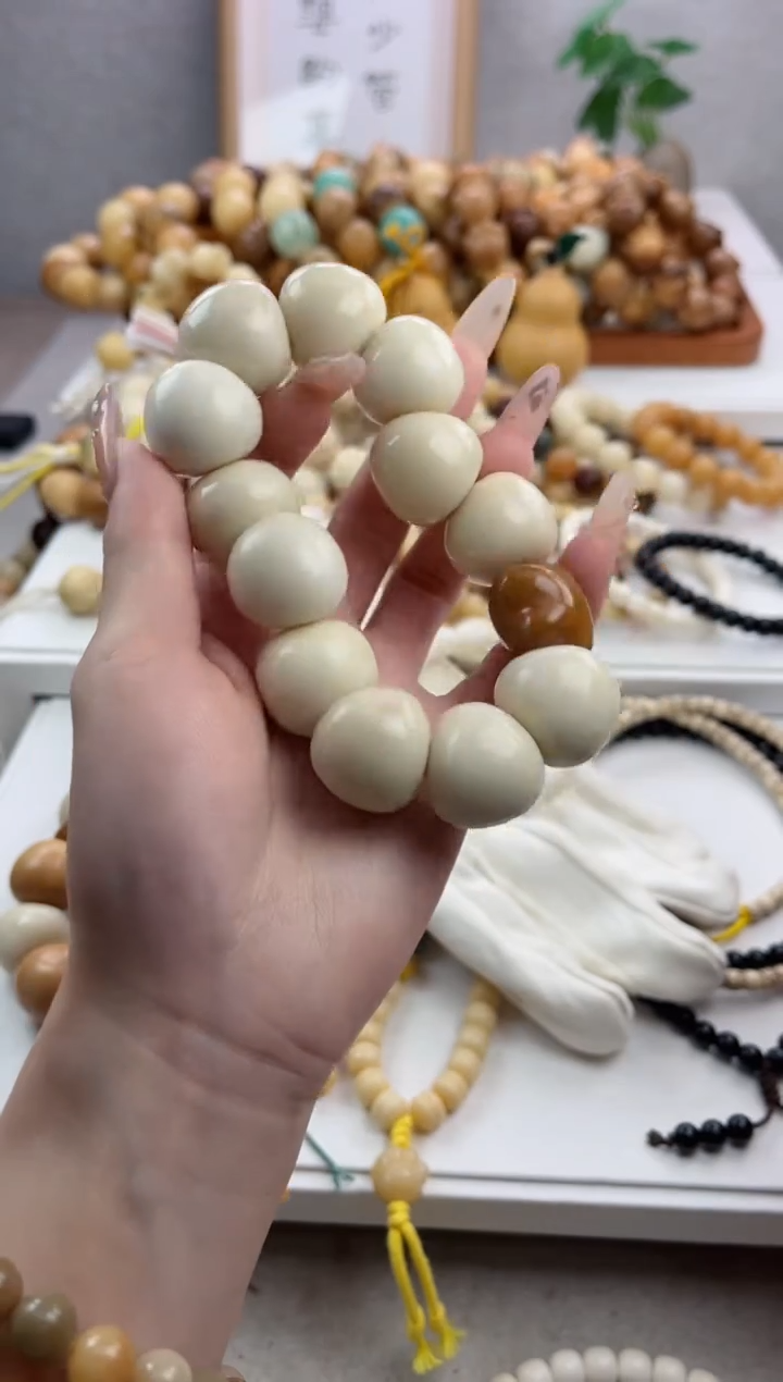 【闪购商品】菩提根/象牙果手串r21象牙果蒜瓣肠22*23mm瑕疵不补