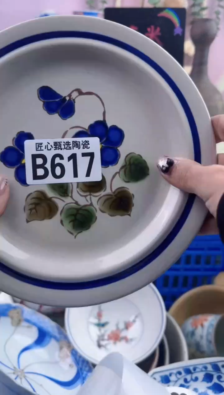 瓷片雪**朵      B617