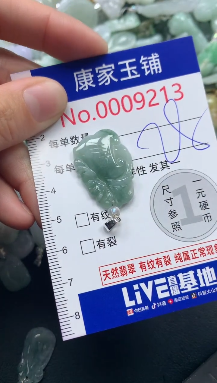 颈饰未镶嵌翡翠9213