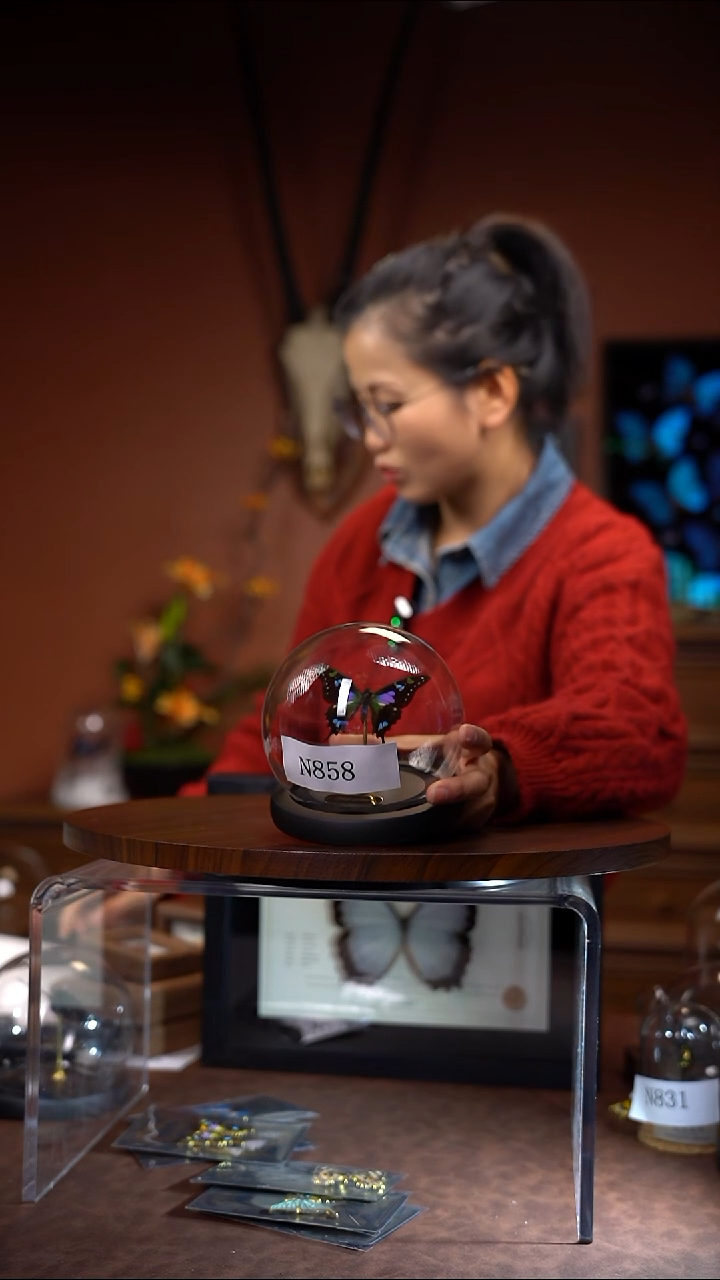 N858玫瑰青凤蝶玻璃球