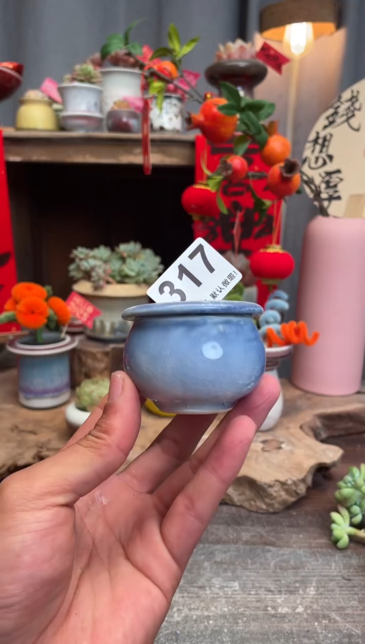 【闪购商品】摆件317小芳手工花盆