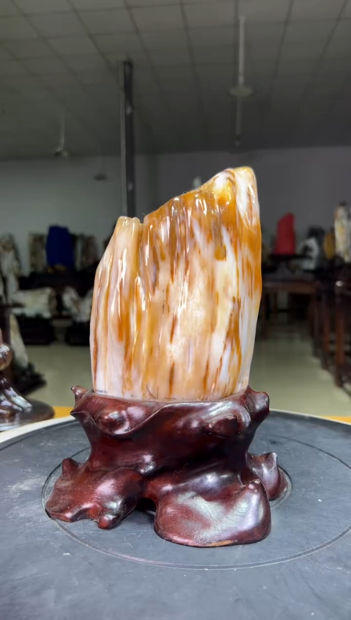 未镶嵌珠宝奇石硅化玉4