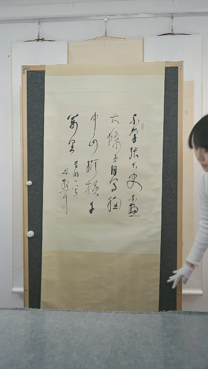 书法用****2林sz老师 多字书法 立轴