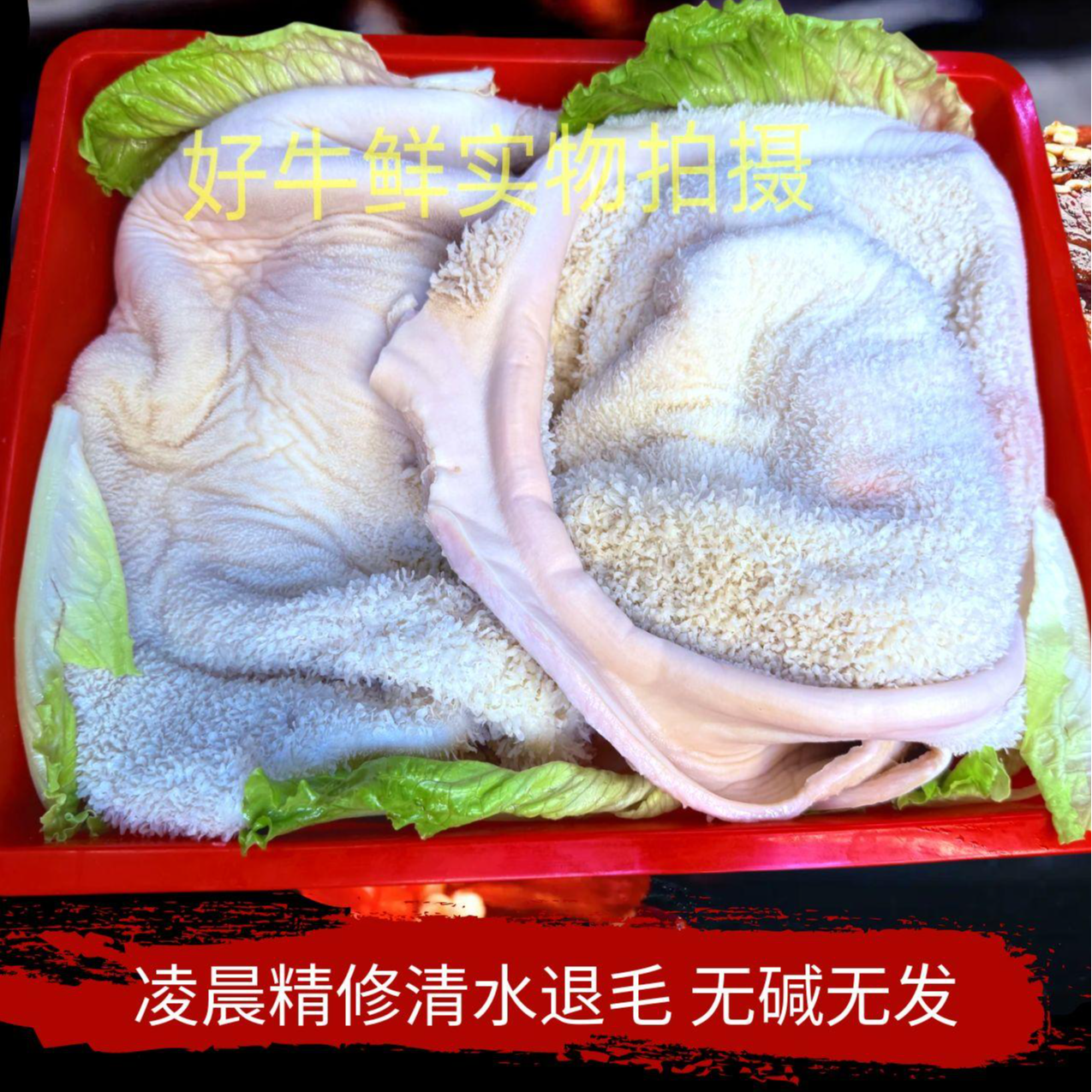 整切牛大肚 固形物含量99%