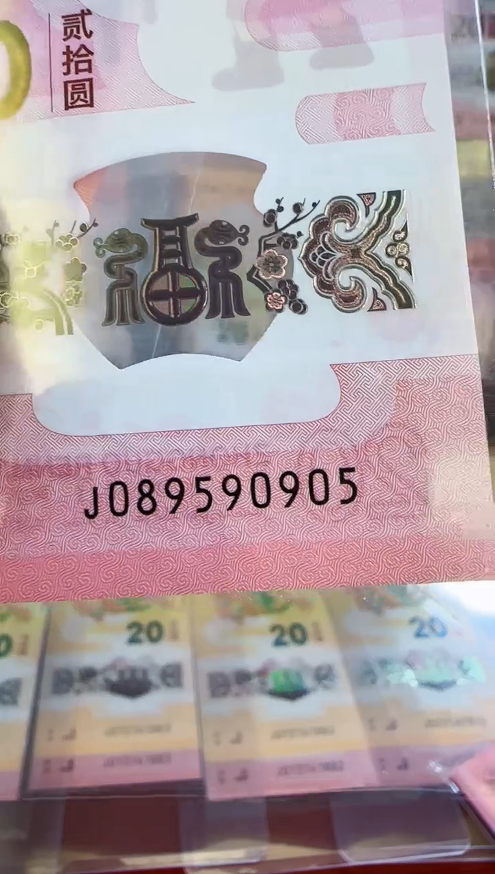 【闪购商品】塑料2025蛇钞089590905单张裸