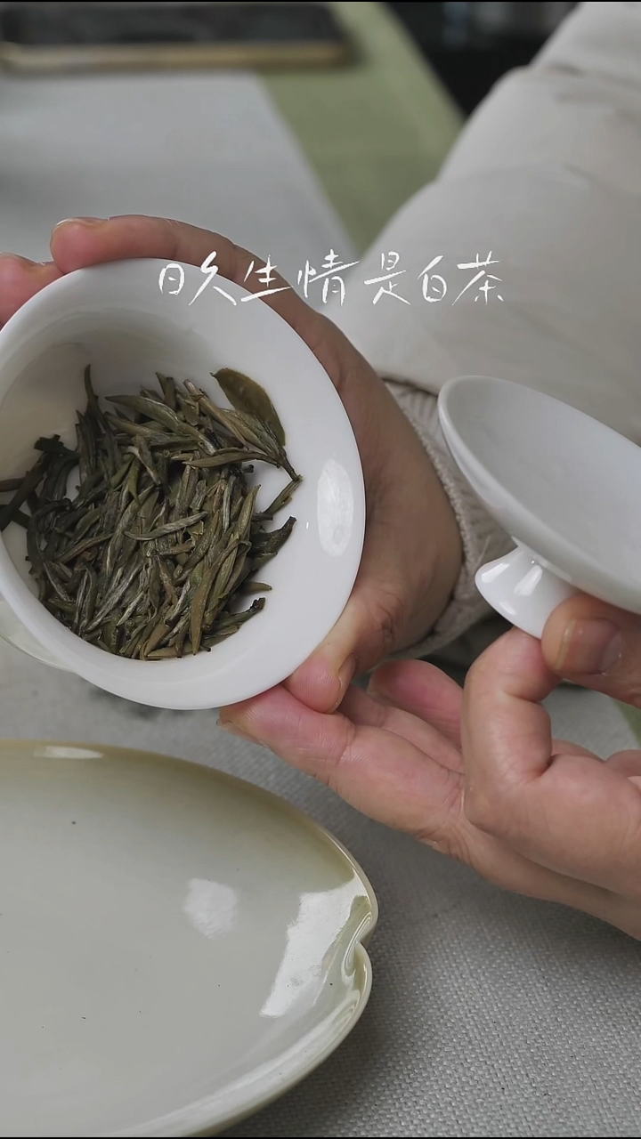 2023年一级白毫银针50克/罐 配样泡