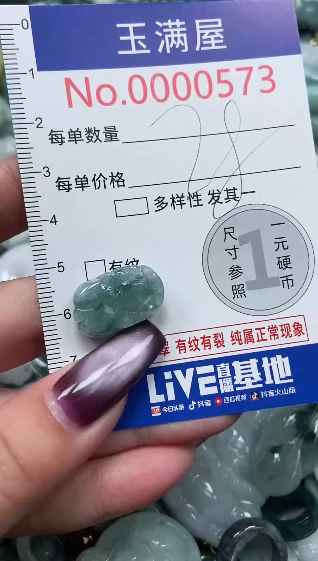 颈饰未镶嵌翡翠573