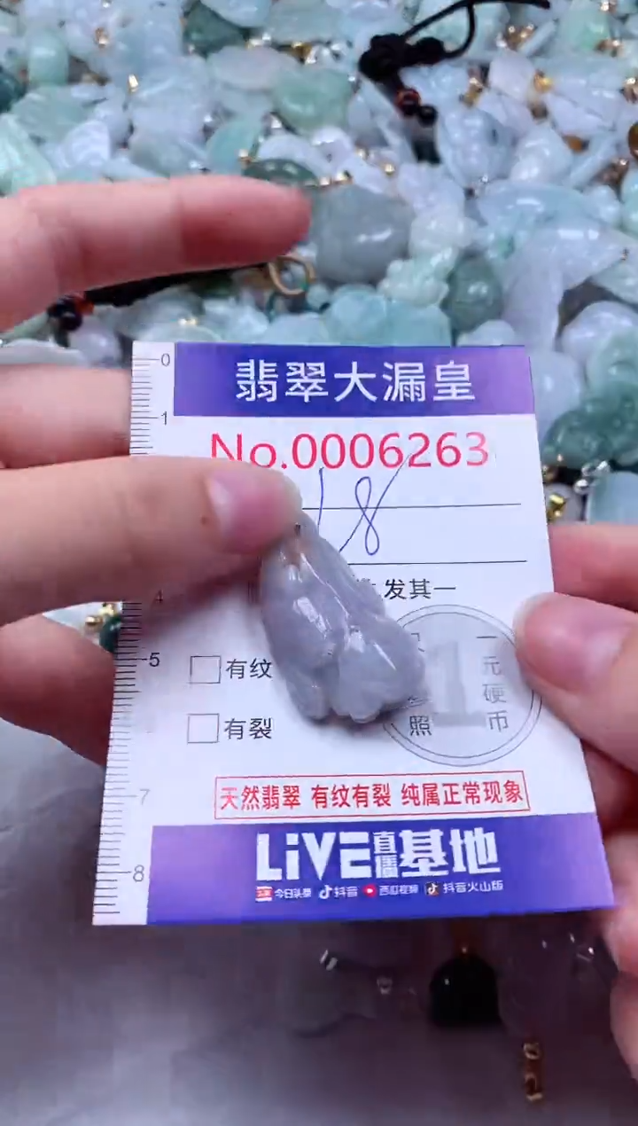 吊坠(不含链)未镶嵌翡翠6263
