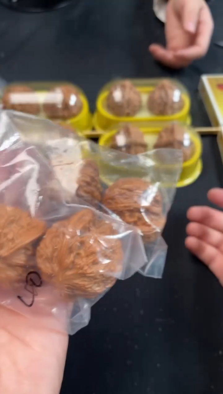 把件文玩核桃磨盘40尺随机发