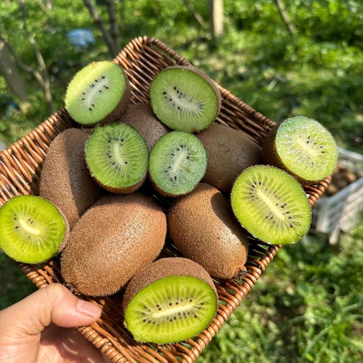 【齐峰猕猴桃】香甜多汁 1盒/6枚