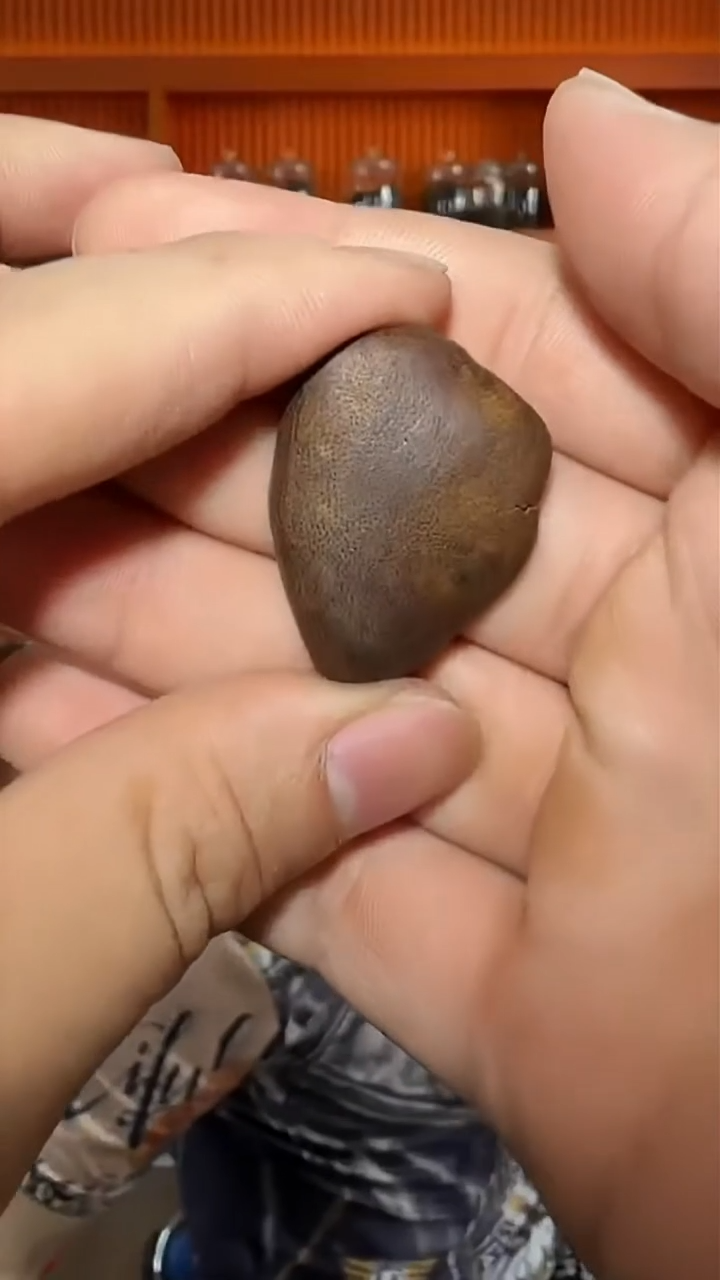 沉香吊坠51号红土多样性发一