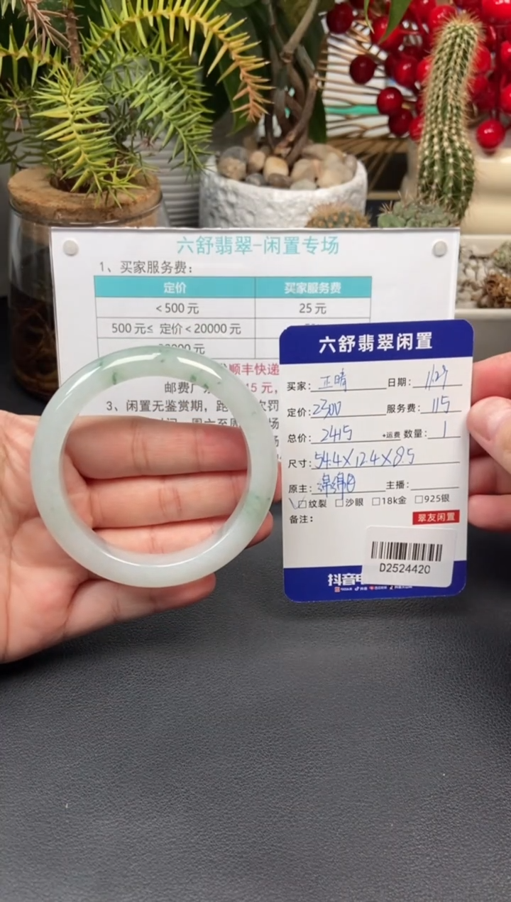 未镶嵌手镯翡翠正*?D2524420