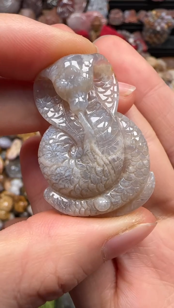 【闪购商品】硅化珊瑚（珊瑚玉）颈饰未镶嵌198