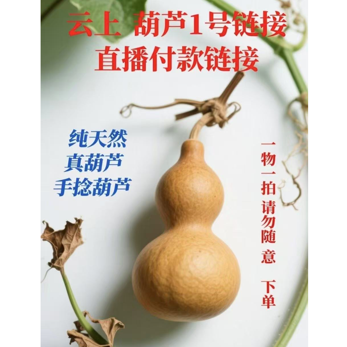 直播间精选葫芦链接一物一拍
