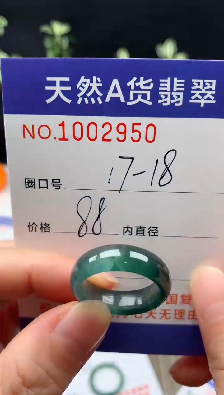 未镶嵌戒指翡翠风****）17-18#