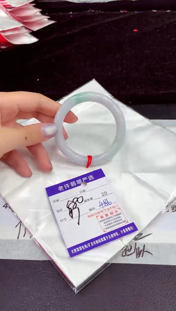 未镶嵌手镯翡翠11