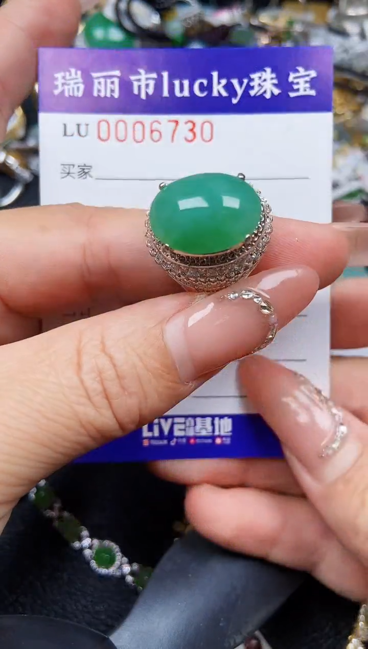 翡翠未镶嵌颈饰6730铜托