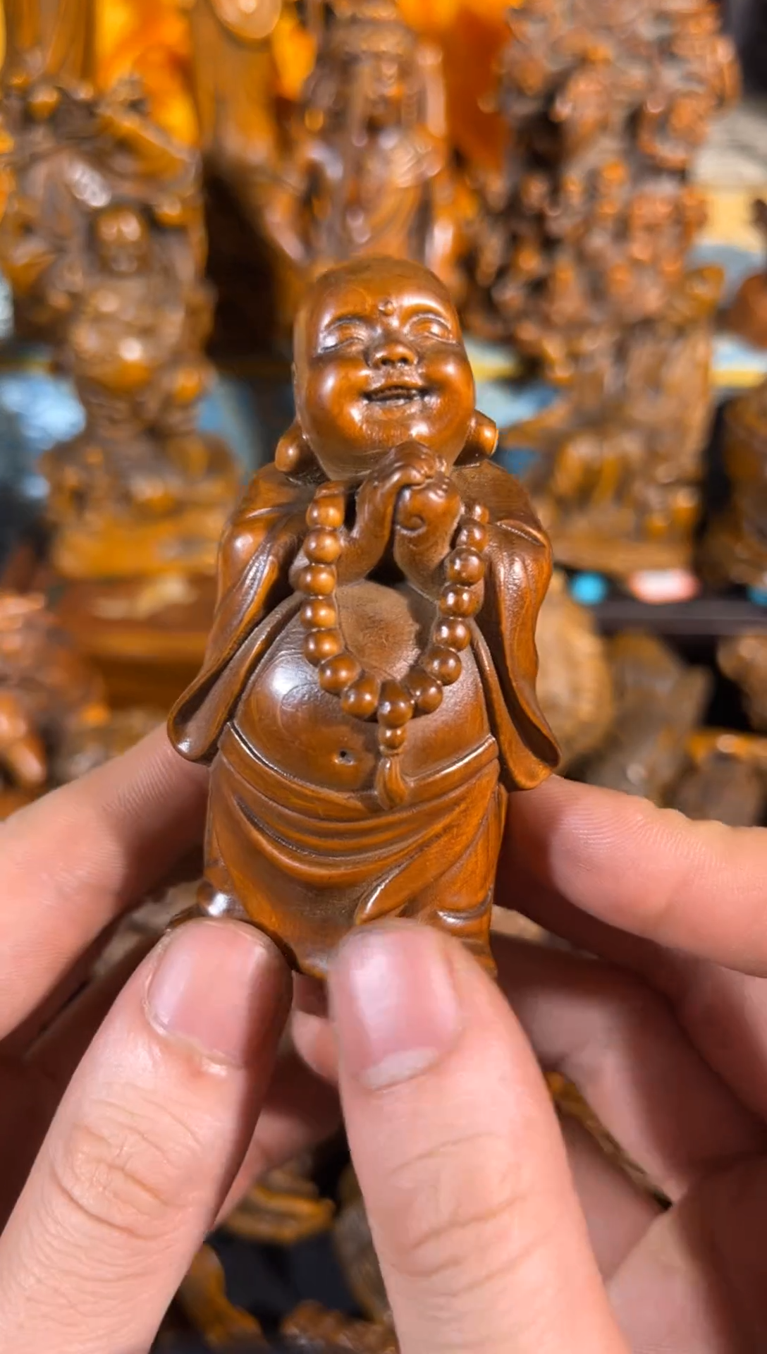 黄杨木11111111111