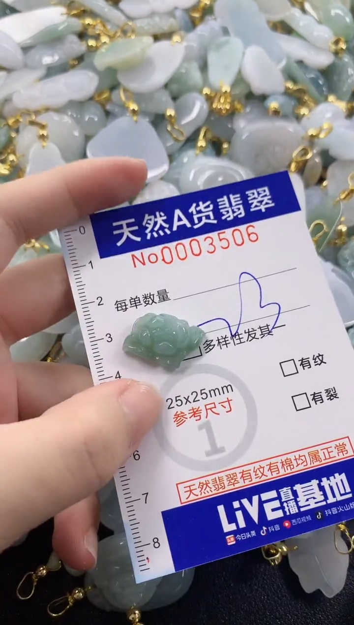 颈饰未镶嵌翡翠天然A货翡翠