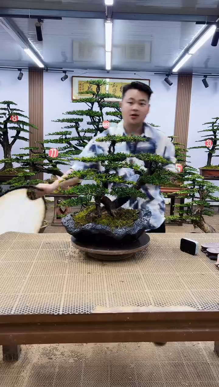 一物一拍，所见即所得
