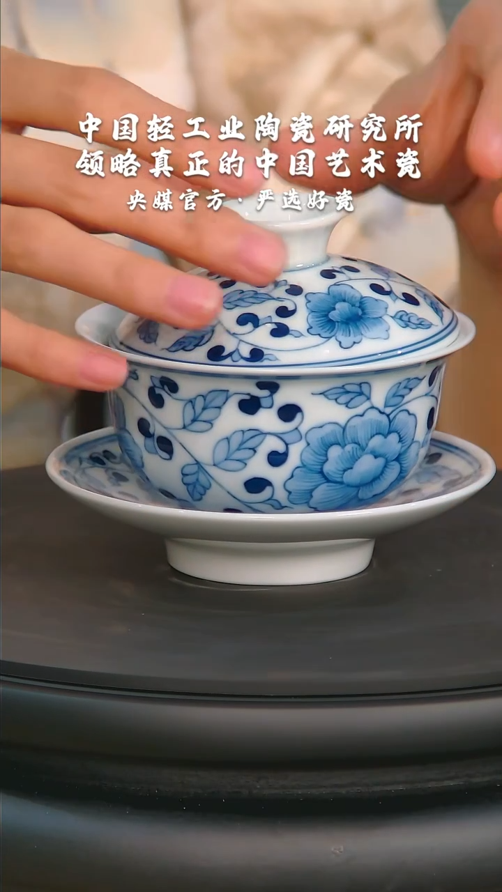 【闪购商品】瓷片陶瓷 研究所    流水13