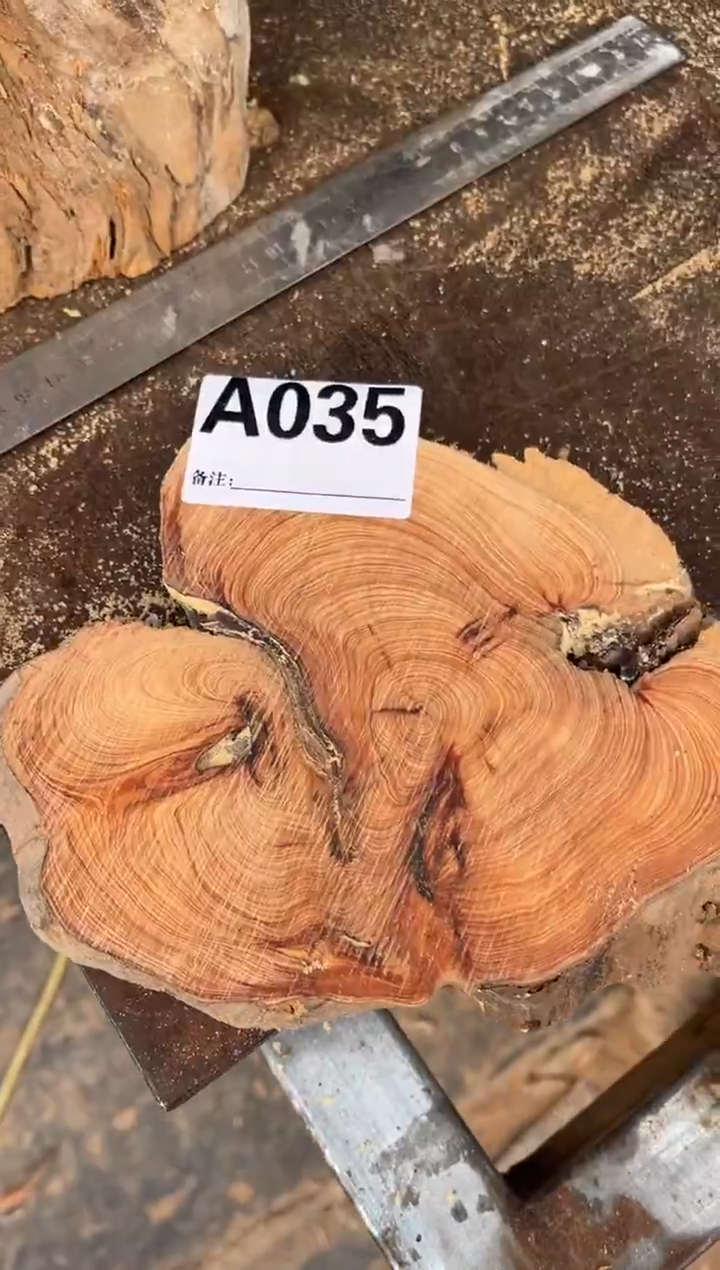 柏木（崖柏）太行崖柏香块