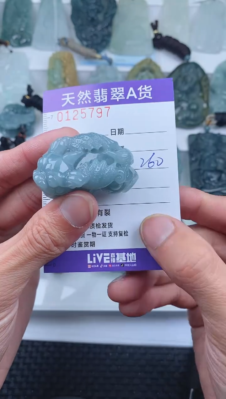 【闪购商品】翡翠颈饰未镶嵌        797