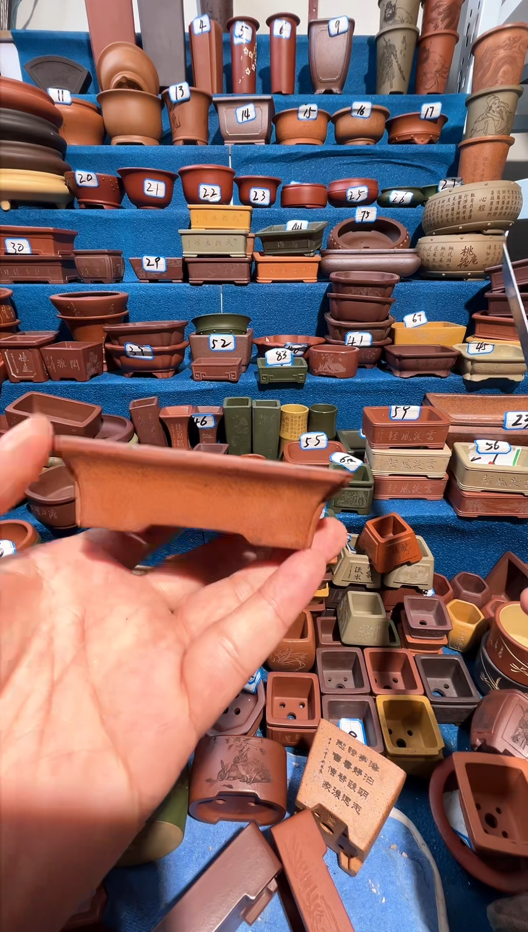 【闪购商品】紫砂紫砂花盆8.5*6.5*2.5