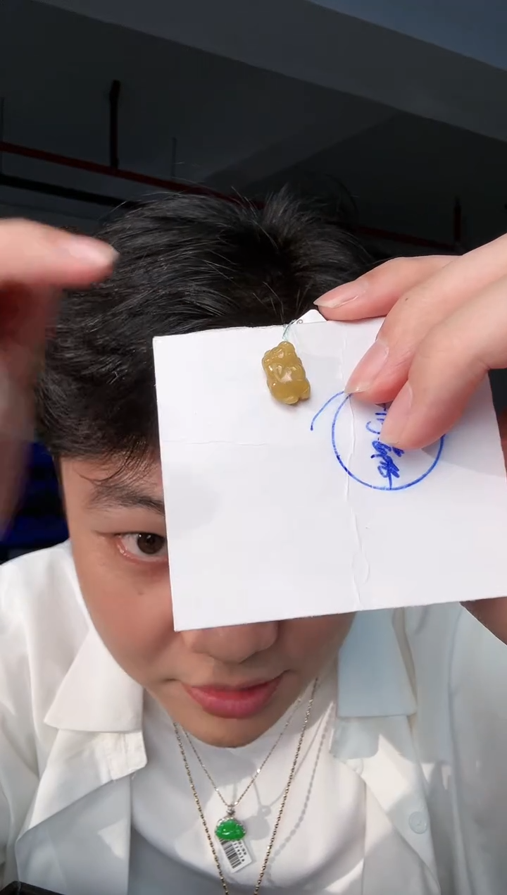 【闪购商品】翡翠颈饰18K金镶嵌 缅料A货翡翠/支持复检/一件