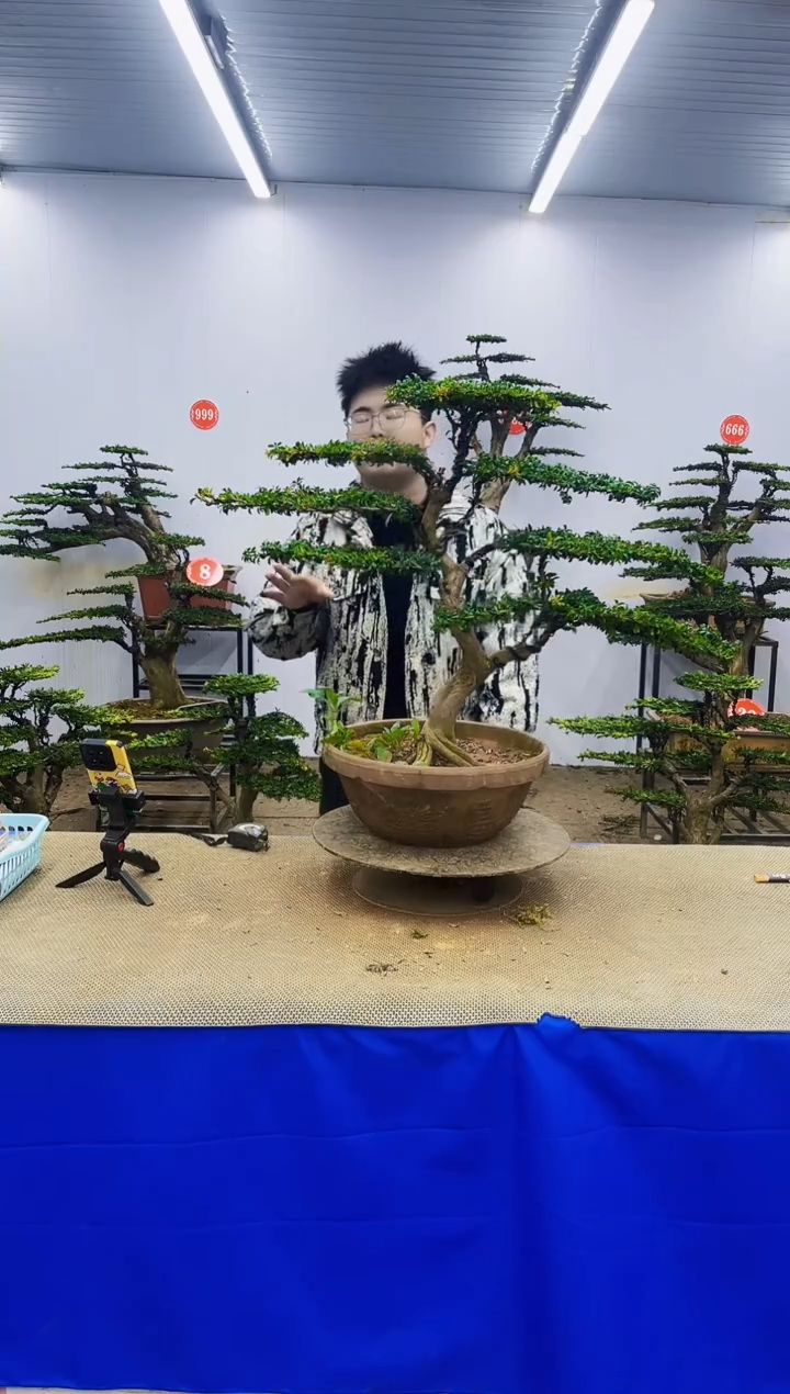 完全开放一物一拍，所见即所得