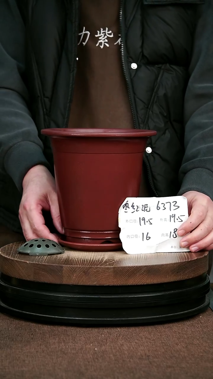 紫砂花盆花卉园艺6373+Z