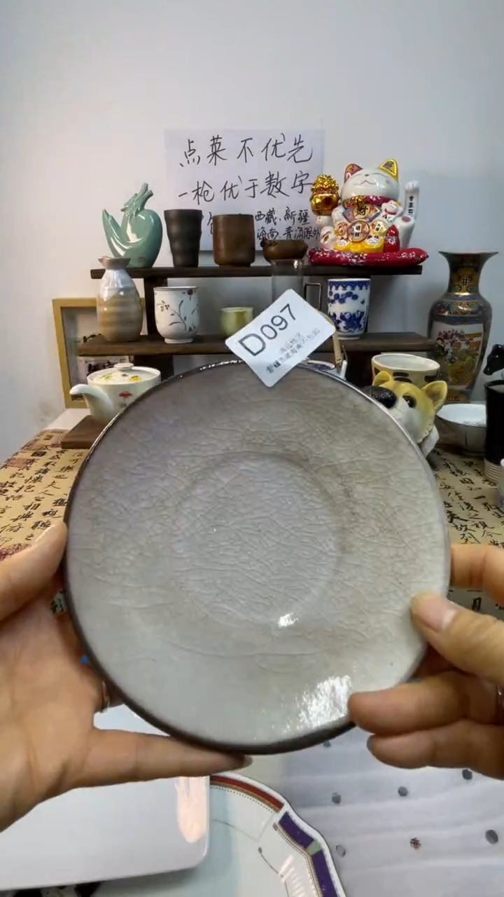 瓷片-D-        097