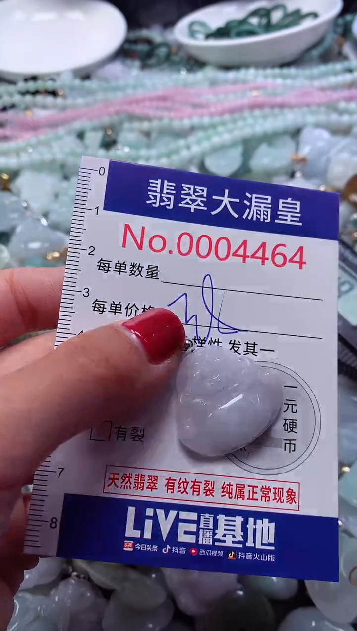 颈饰未镶嵌翡翠4464