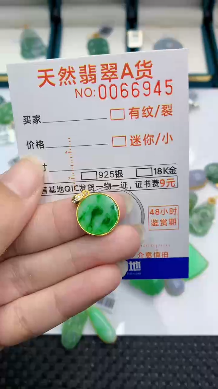 【闪购商品】翡翠颈饰银S925镶嵌            8