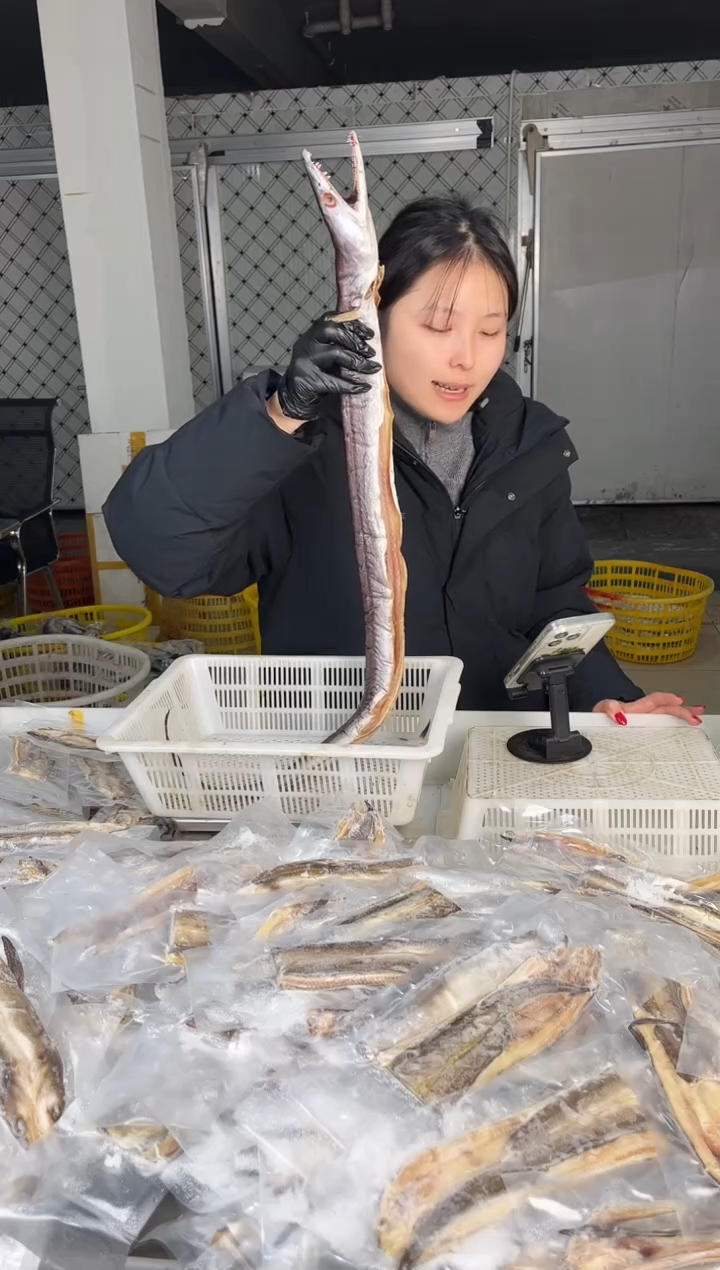 中国大陆1.7斤风鳗舟山