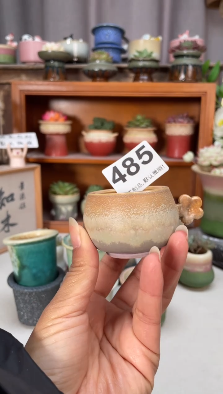 瓷片485小芳直播编号