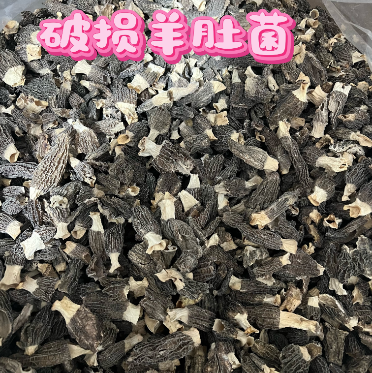 破损羊肚菌干货炖汤炒菜