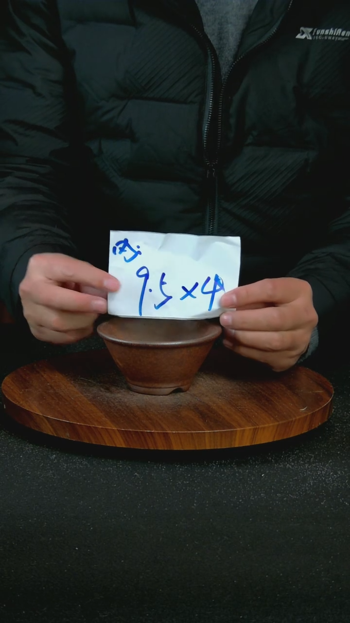 【闪购商品】紫砂A55