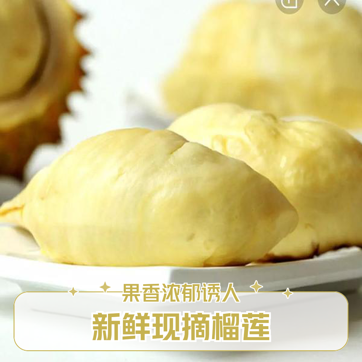 【保五房!】金枕鲜榴莲（核小肉厚）一果一重 31.8元500g同城配金枕泰国金枕泰国