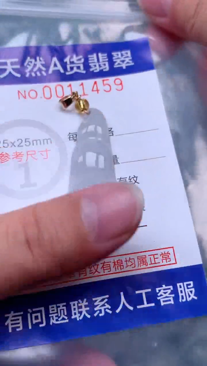 吊坠(赠链)未镶嵌翡翠1