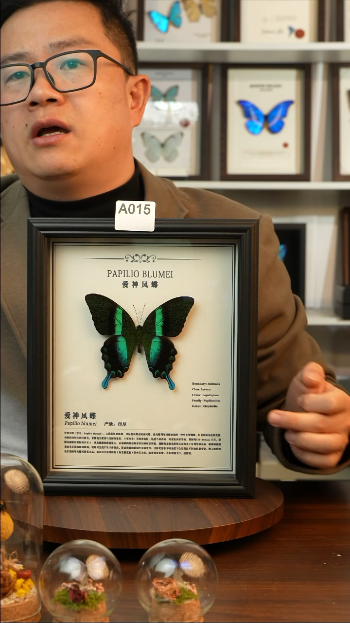 爱神凤蝶-中文（10寸欧式黑框）A015